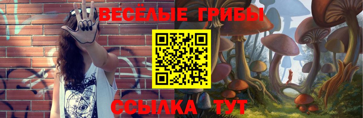закладки  Галлюциногенные грибы ЛСД  Псилоцибиновые грибы Magic Shrooms  Вход с VPN  Костомукша 